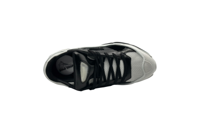 Raf Simons x Replicant Ozweego 'Black Cream'