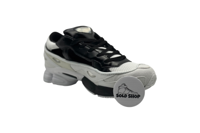 Raf Simons x Replicant Ozweego 'Black Cream'