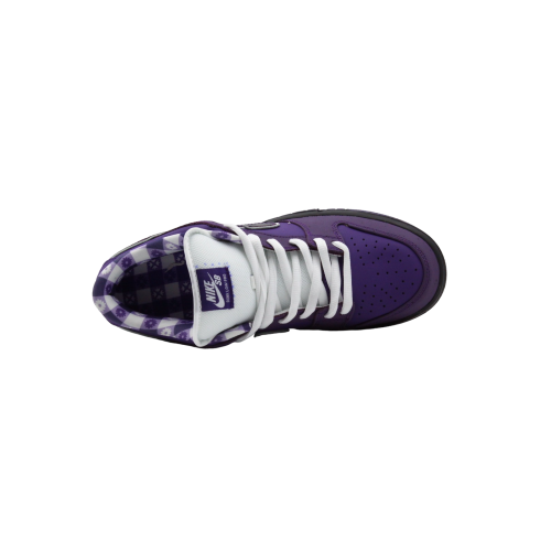 Nike SB Dunk Purple