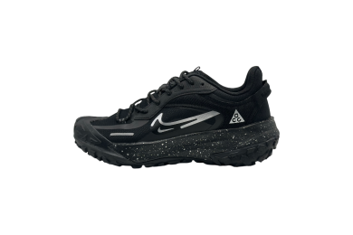Nike ACG Mountain Fly 2 Low GORE-TEX 'Polar Night'