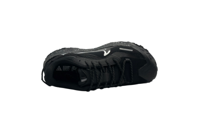 Nike ACG Mountain Fly 2 Low GORE-TEX 'Polar Night'