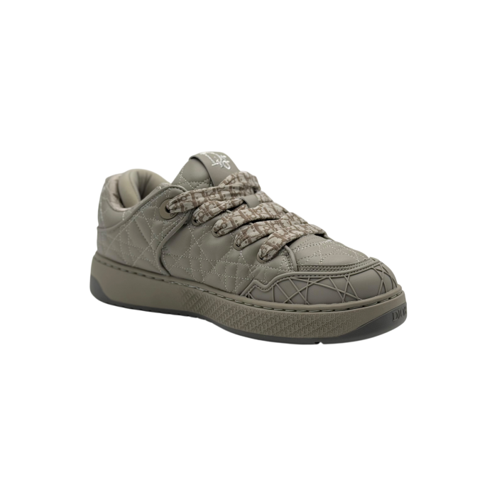 Dior B9S Skater 'Gray'