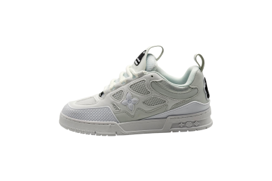 Louis Vuitton LV Skate Sneaker ALL WHITE