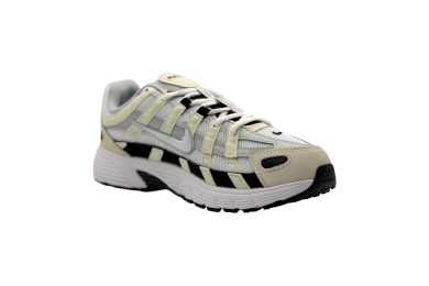 Nike P-6000 CNPT 'PURPLE'