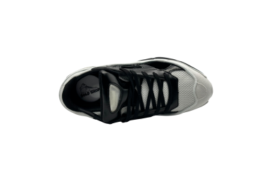 Raf Simons x Replicant Ozweego 'Black Cream'