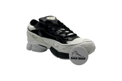 Raf Simons x Replicant Ozweego 'Black Cream'