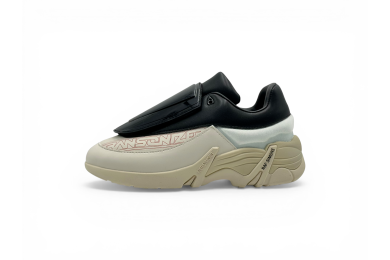 Raf Simons Antei Transonized