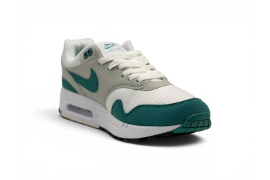 Nike Air Max 1 'Evergreen'