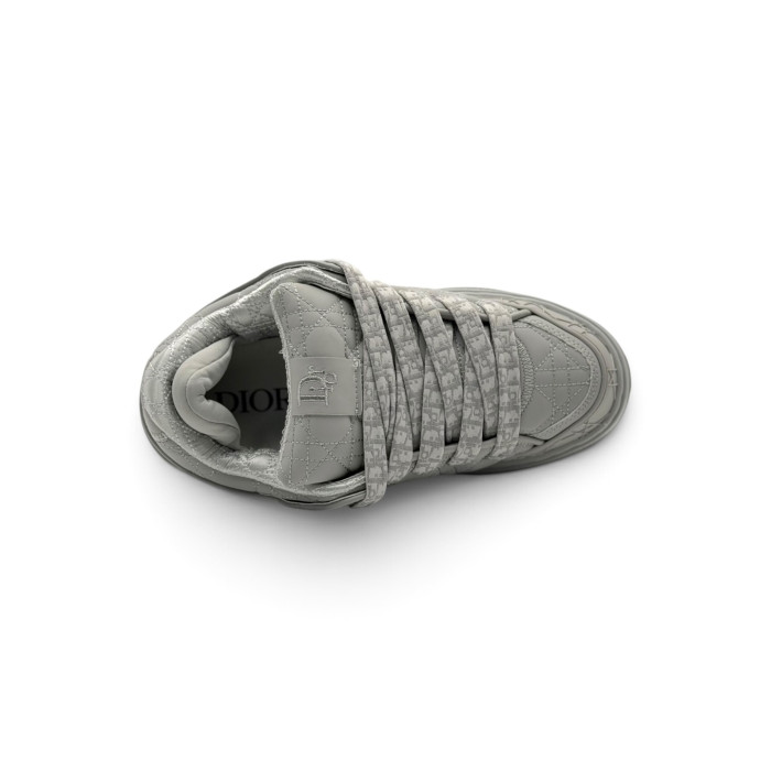Dior B9S Skater 'Gray'