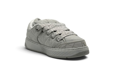 Dior B9S Skater 'Gray'